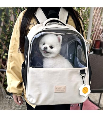 Amazon.co.jp: リッチェル ペットリュックキャリー ネイビー : ペット用品